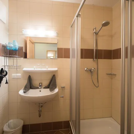 Appartement Haus Bliem Flachau